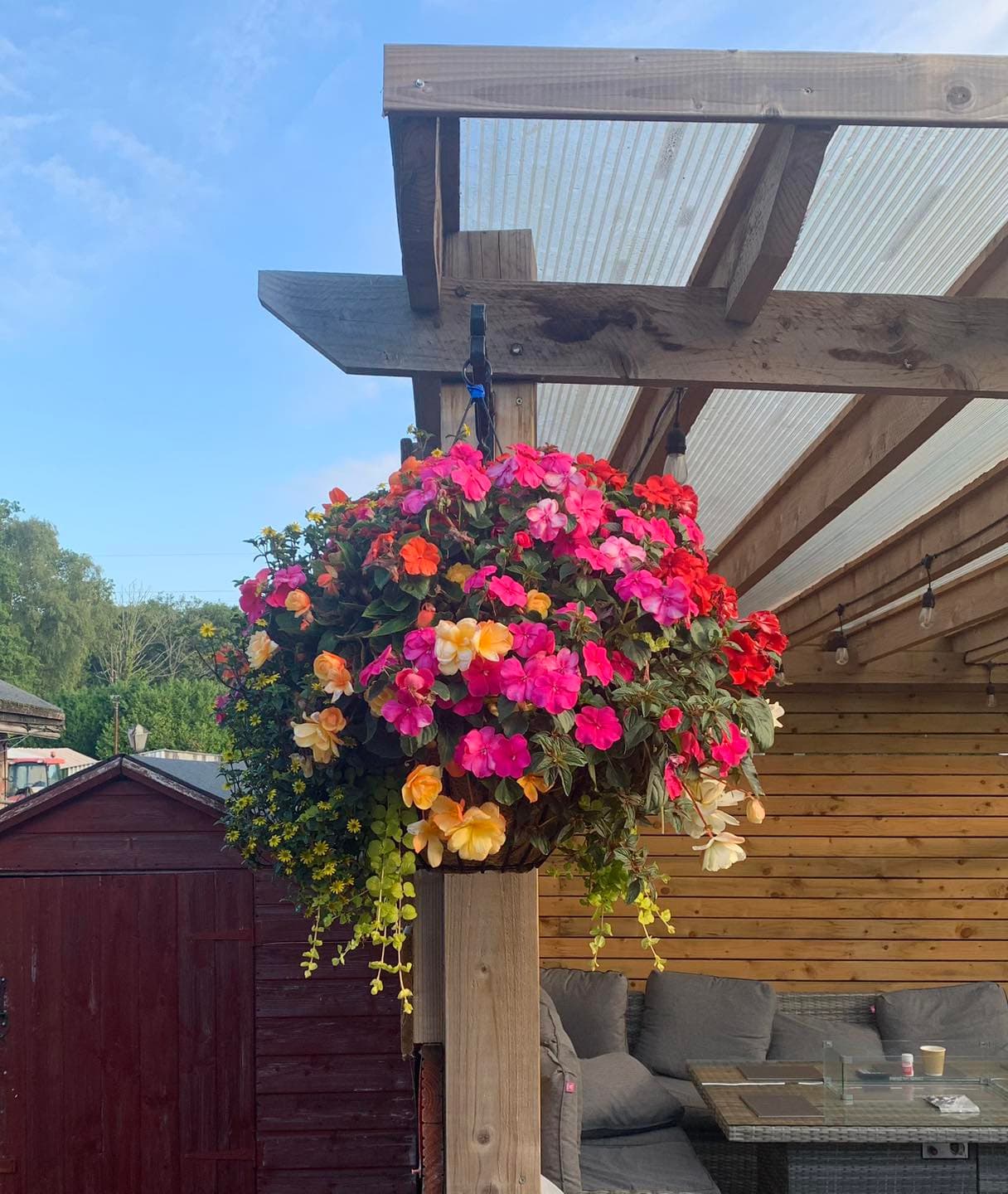 A hanging basket full of pink, orange and yellow flowers, hung under a wooden pergola