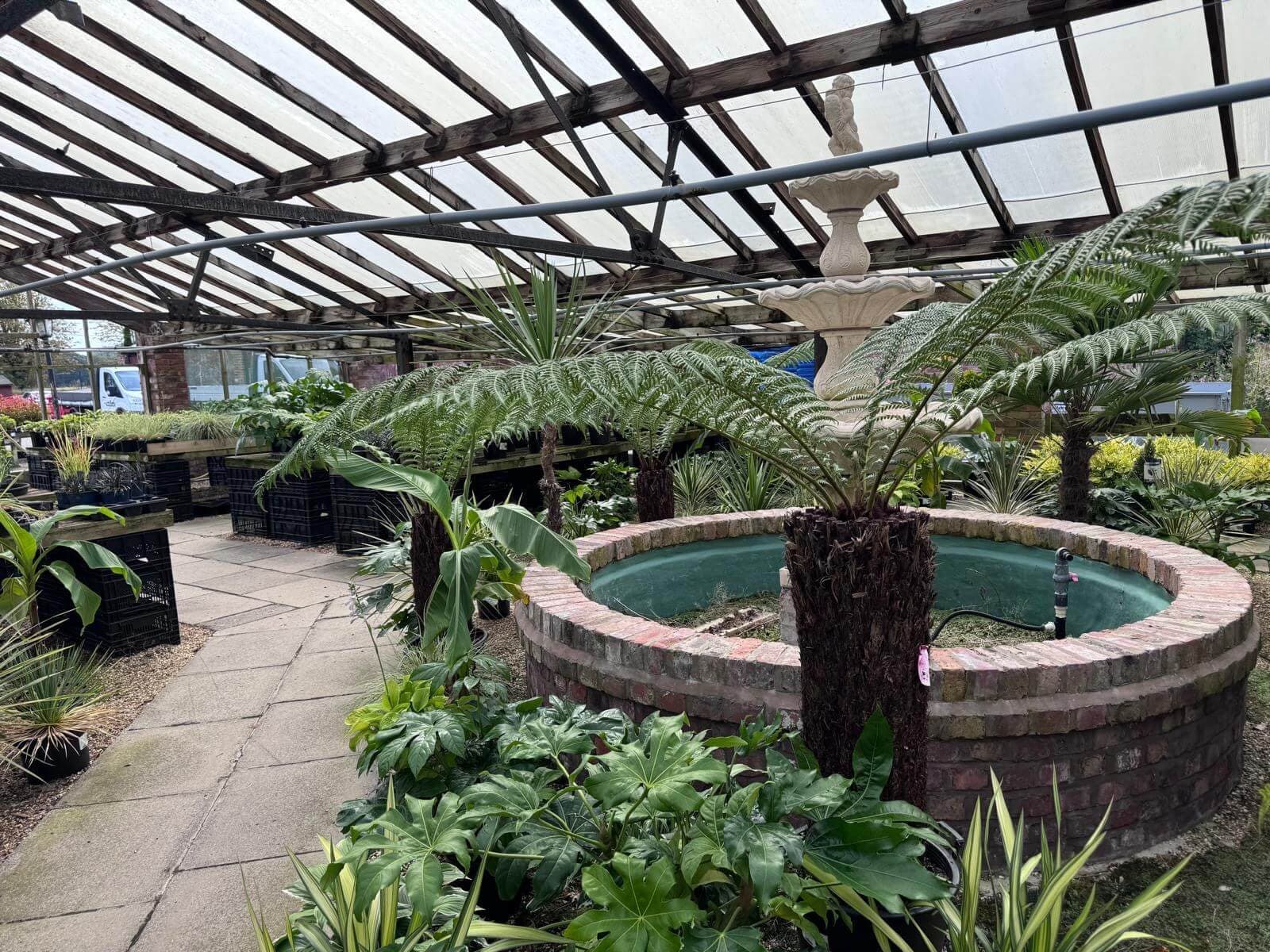 Inside the Ramswood glasshouse: a tree fern beside a round brick pond with a stone fountain, and a paved path between the benches under a glass roof