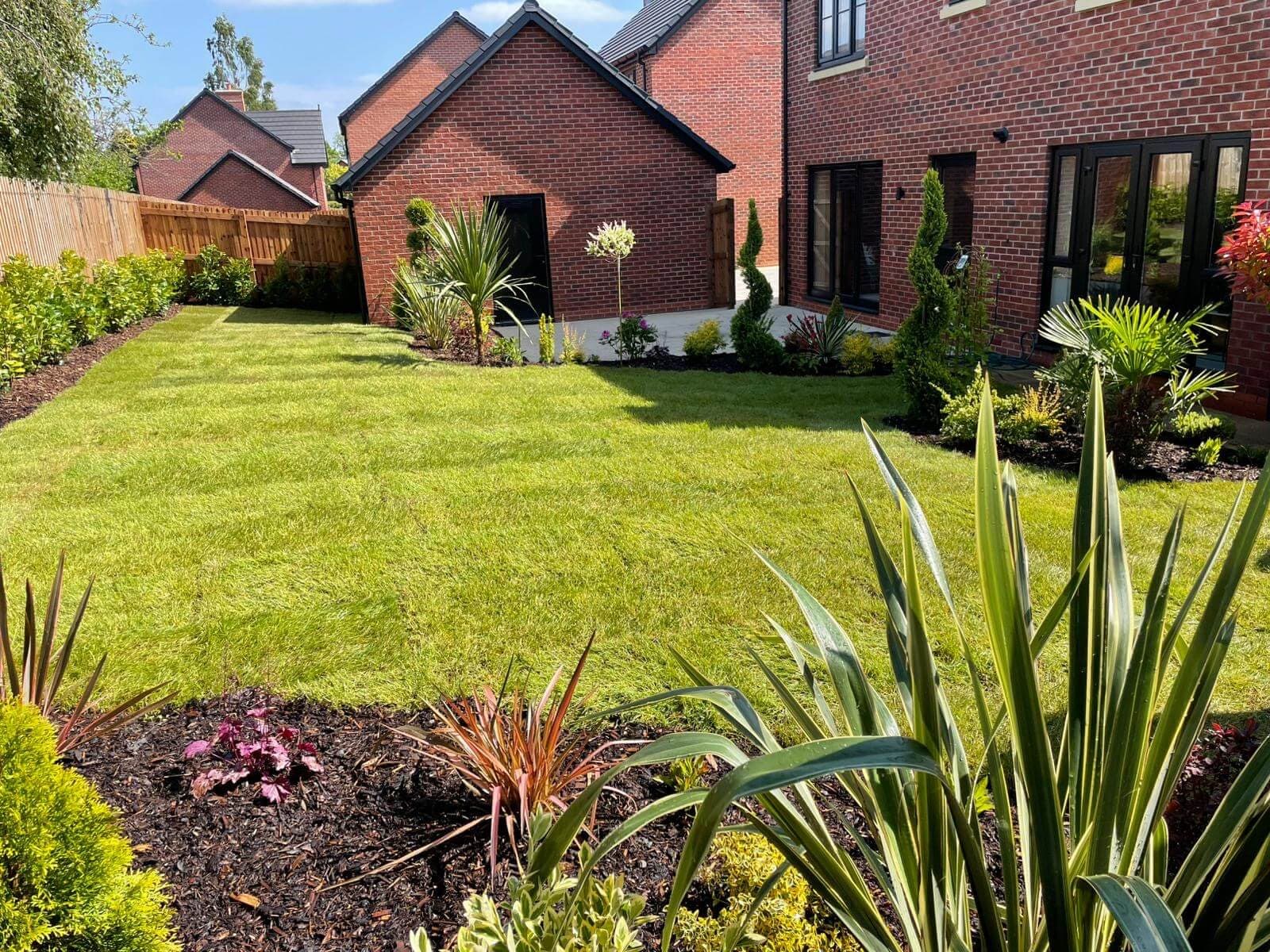 A sunlit back garden: a wide lawn, bark-mulched borders of spiky architectural plants, spiral conifers and a trunked palm, beside a red-brick house and garden building