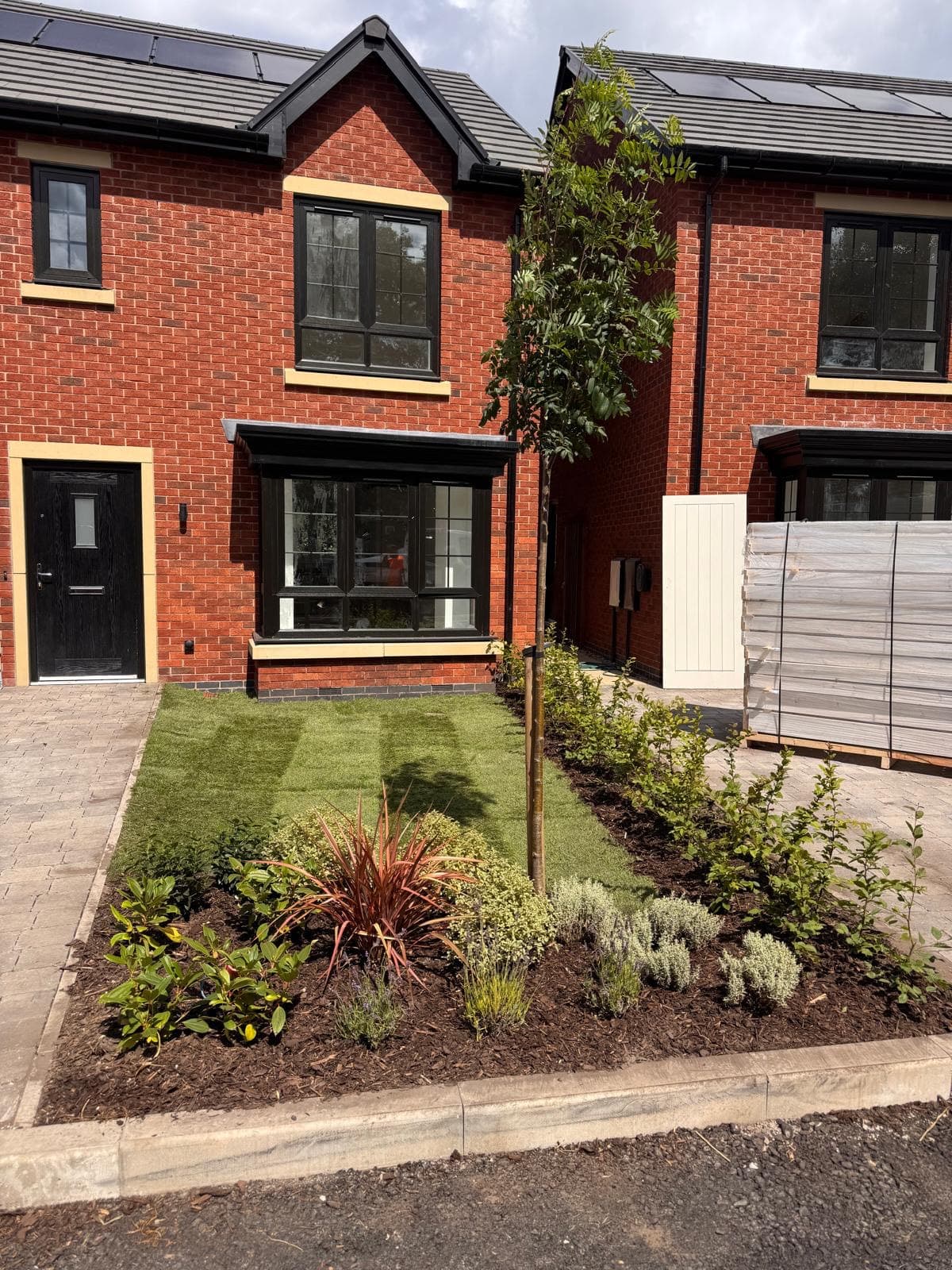 A front garden planted with a staked young tree, a red-leaved phormium, silvery shrubs and a strip of new turf in a bark-mulched bed edged by a kerb