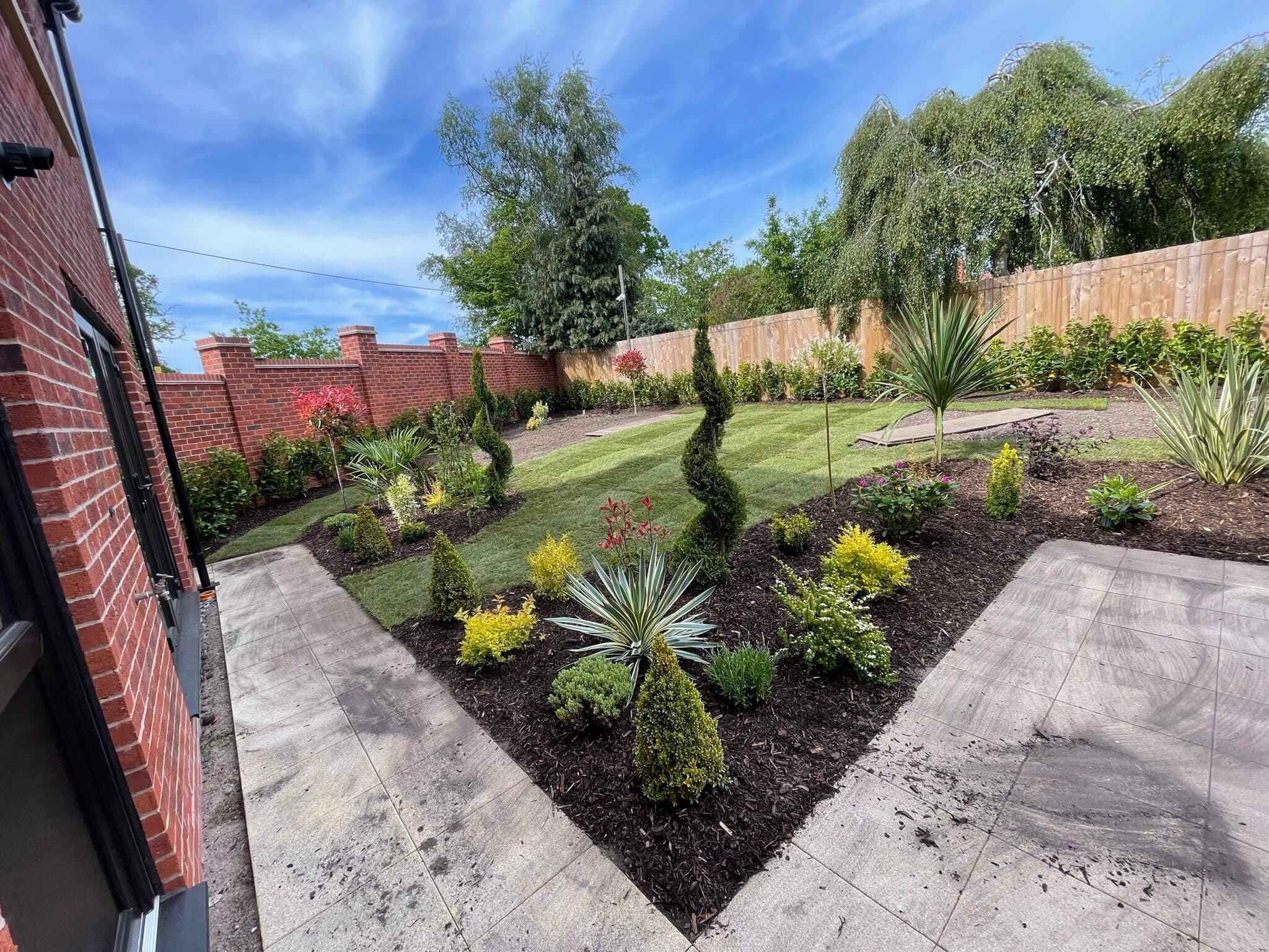 A new-build back garden with a mulched bed of yellow and green shrubs, a spiral topiary and a spiky yucca, turf behind and hedging along a close-boarded fence
