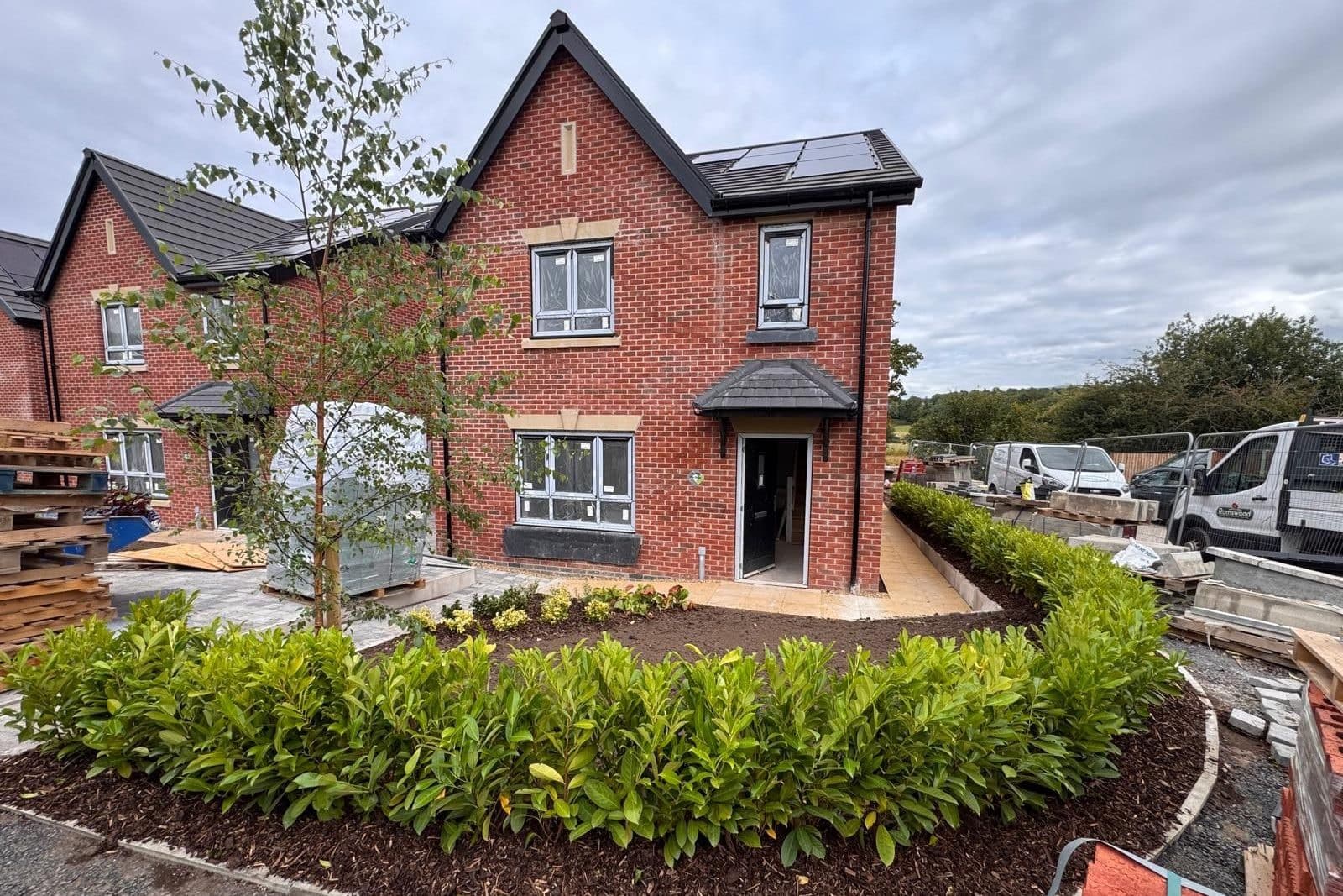 A curved bed of young laurel hedging in bark mulch with a staked birch beside it, in front of a red-brick new-build house, with a Ramswood van and stacked materials on the development behind