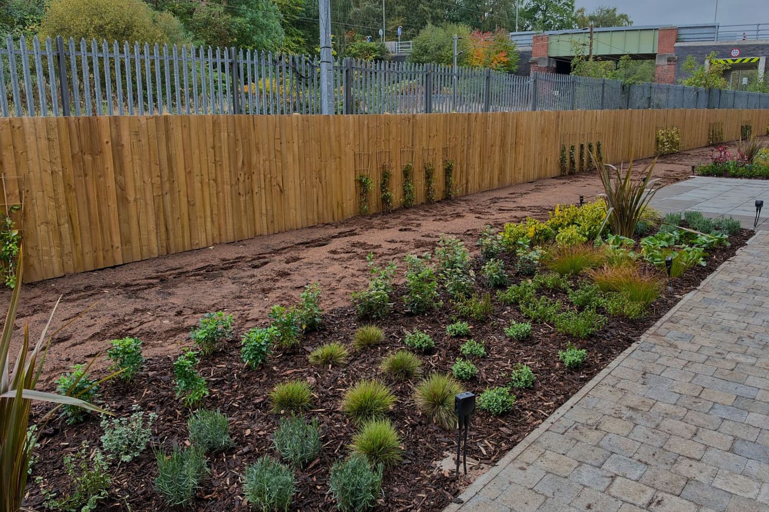 A wide bark-mulched bed of young grasses, lavender and shrubs along a block-paved path, with a new timber fence, climbers on trellis and a railway bridge behind
